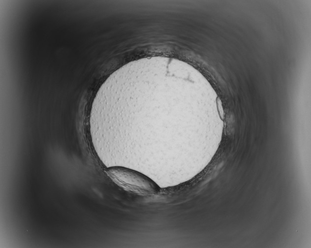 X0000087520913200705181009