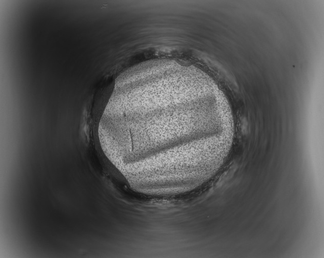 X0000087520914200705181009