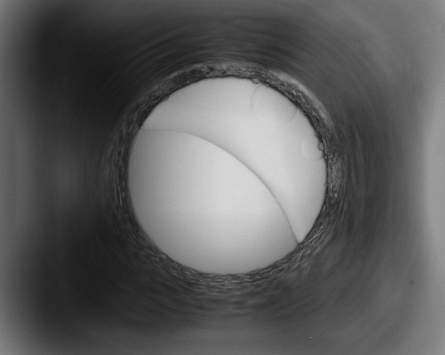 X0000087520919200705181010