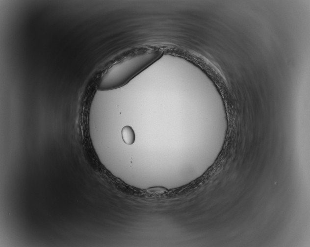 X0000087520920200705181010