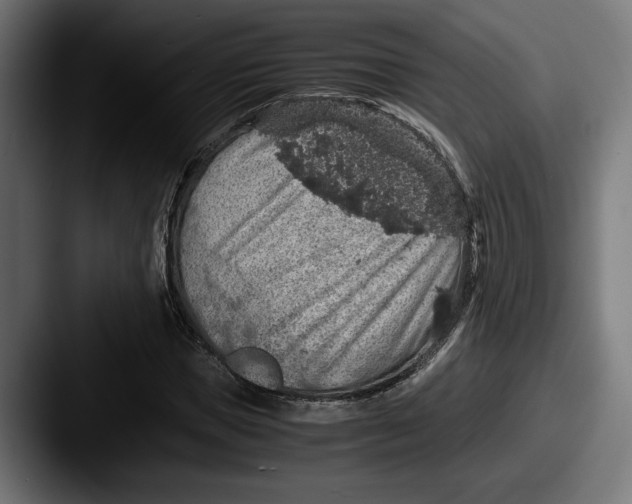 X0000087520921200705181010