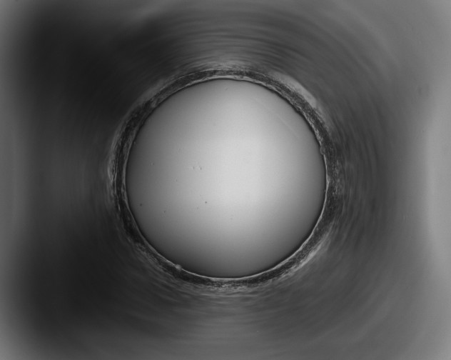 X0000087520922200705181010