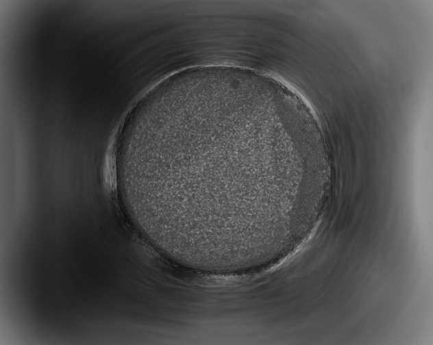 X0000087520925200705181010