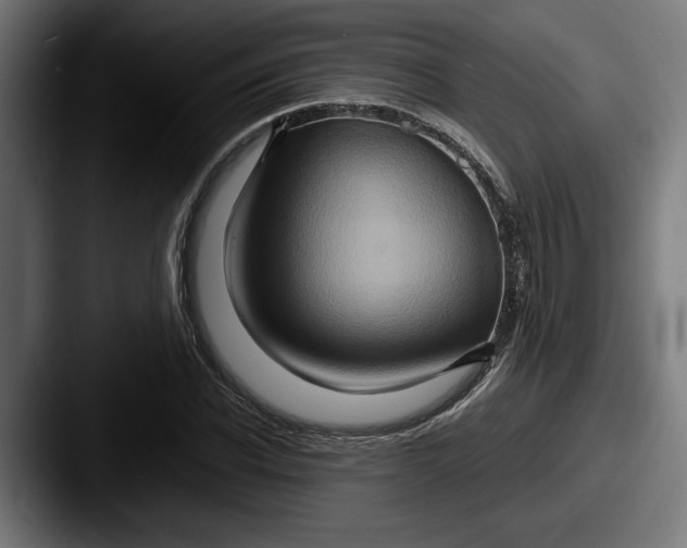 X0000087520926200705181010