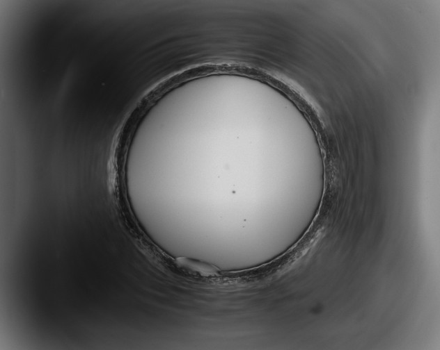 X0000087520927200705181010