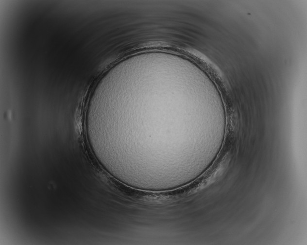 X0000087520929200705181010