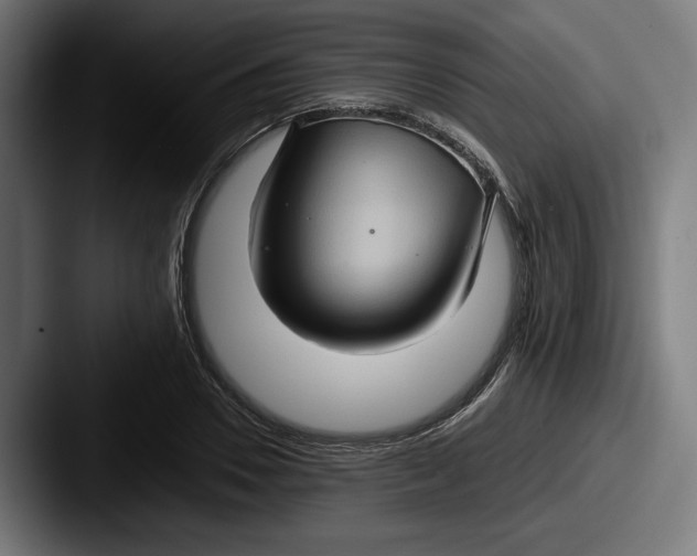 X0000087520930200705181010