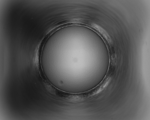 X0000087520931200705181010