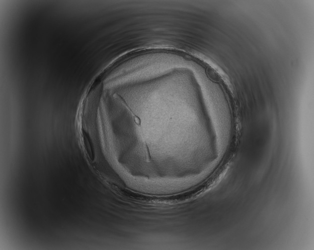 X0000087520933200705181010