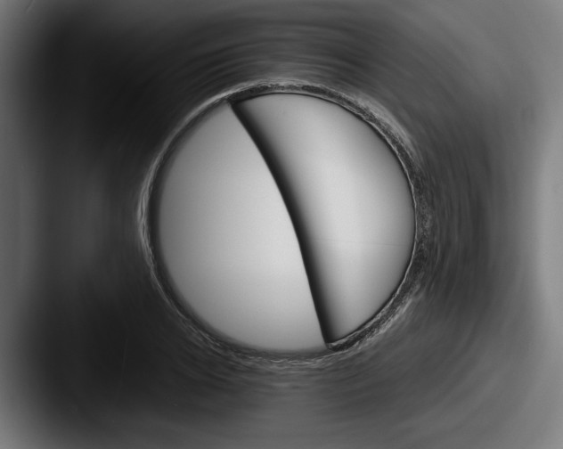 X0000087520934200705181010