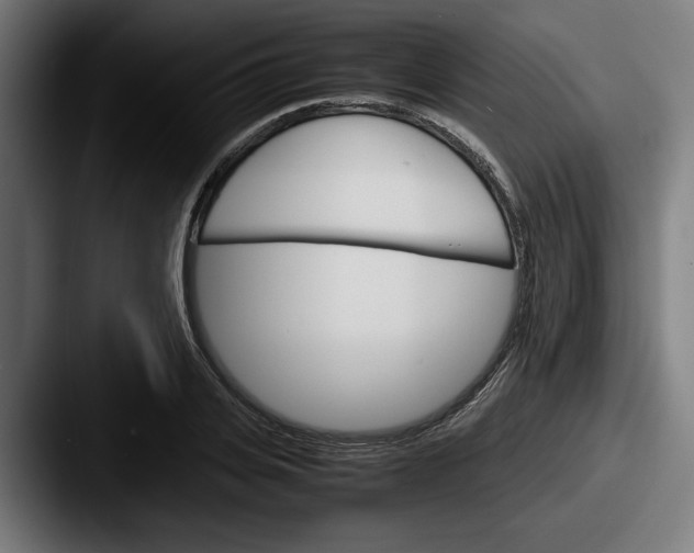 X0000087520935200705181010