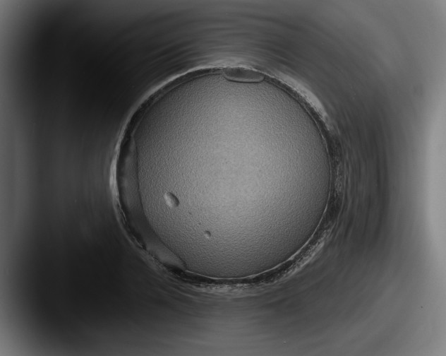 X0000087520936200705181010