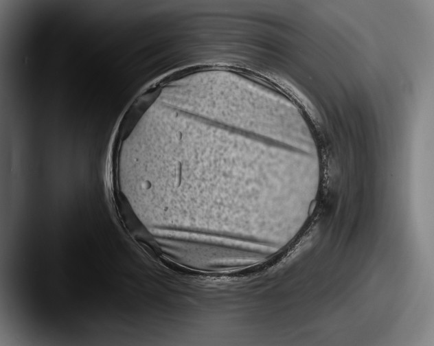 X0000087520940200705181010