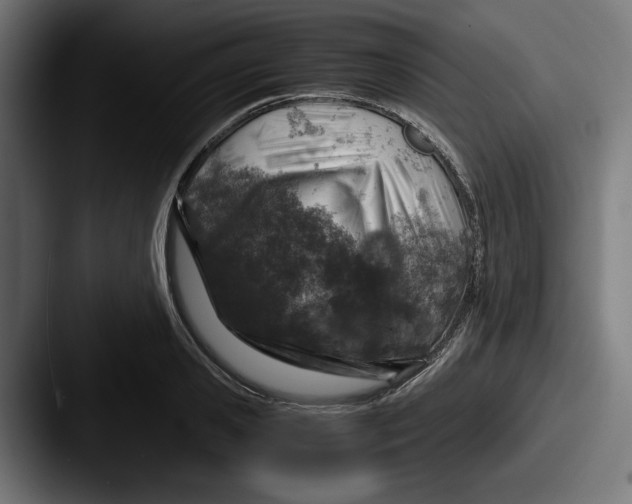 X0000087520941200705181010