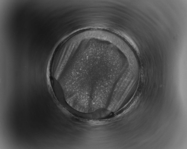 X0000087520944200705181010