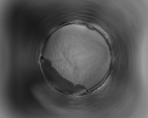 X0000087520945200705181010