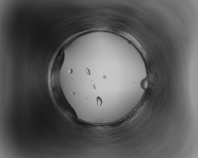 X0000087520947200705181010