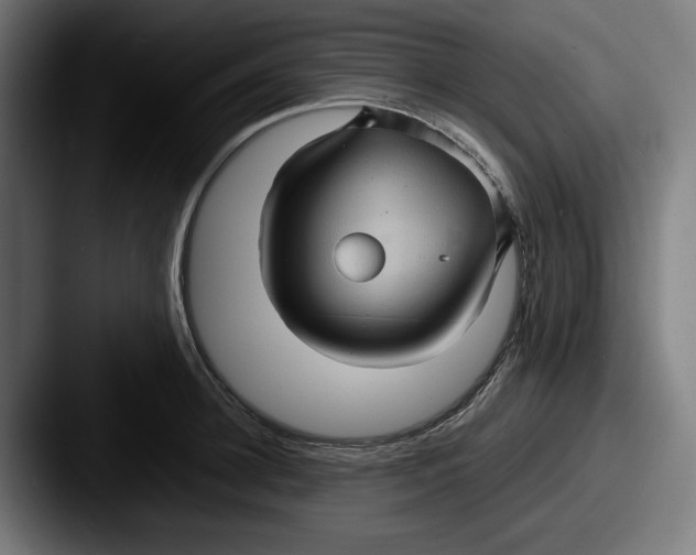 X0000087520948200705181010