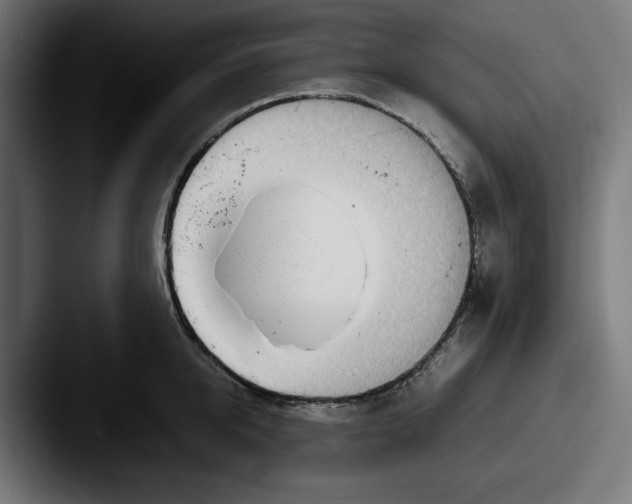 X0000087520950200705181010