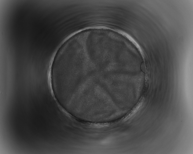 X0000087520951200705181010