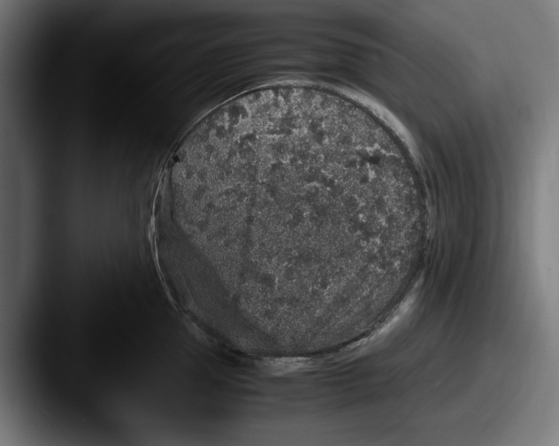 X0000087520953200705181010