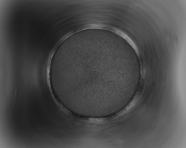 X0000087520954200705181010