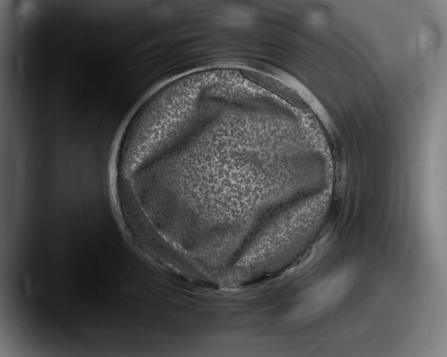 X0000087520955200705181010