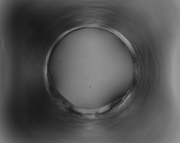 X0000087520956200705181010