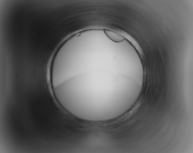 X0000087520958200705181010