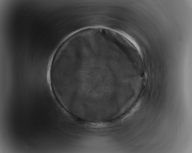 X0000087520959200705181010