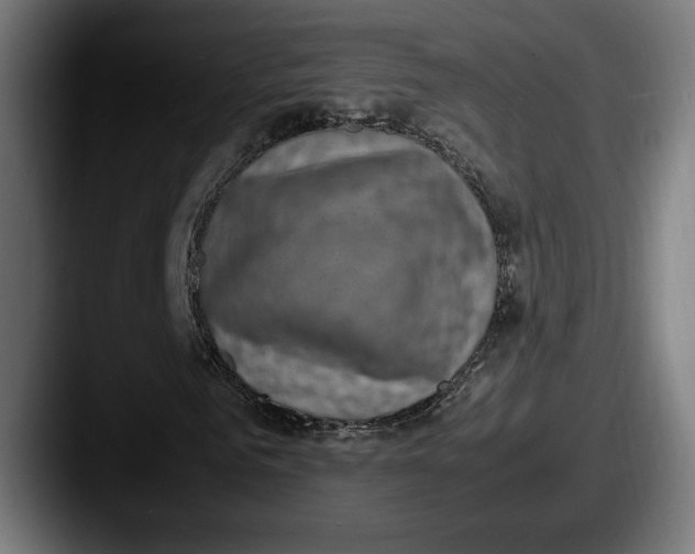 X0000087520961200705181009