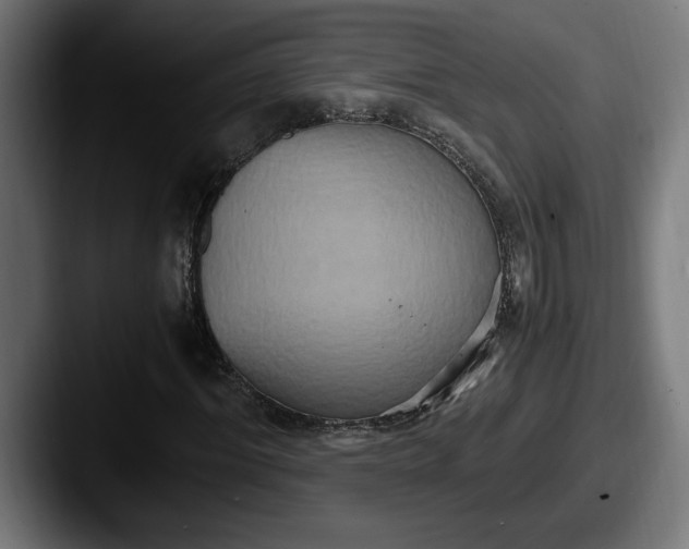 X0000087520964200705181009