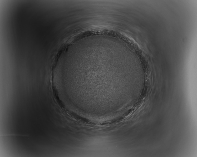 X0000087520965200705181009