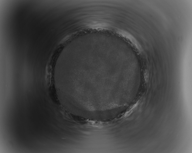 X0000087520968200705181009