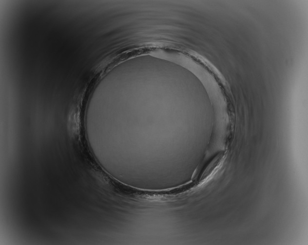 X0000087520969200705181009