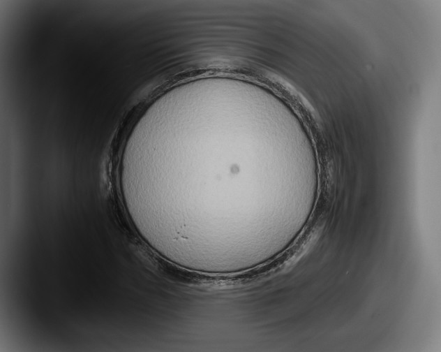 X0000087520970200705181009