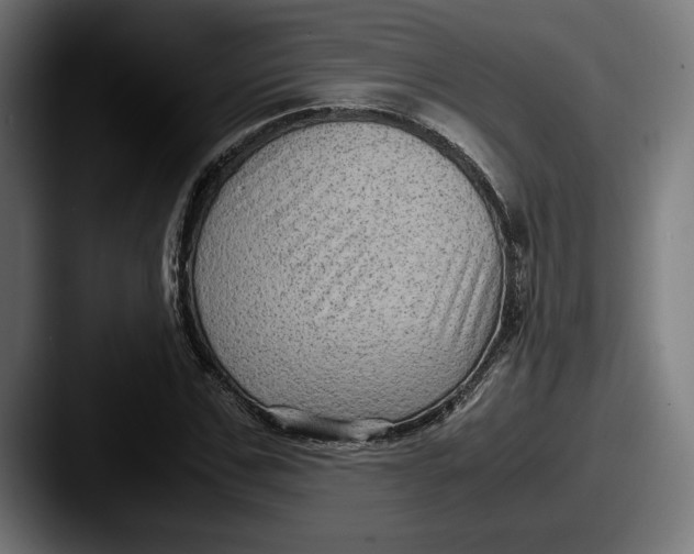 X0000087520971200705181009