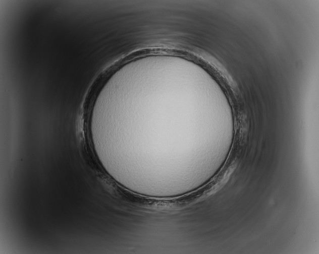 X0000087520974200705181009