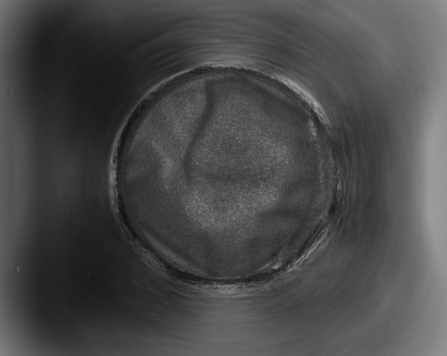 X0000087520976200705181009