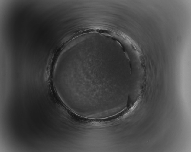 X0000087520977200705181009