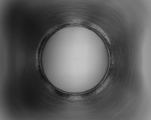 X0000087520978200705181009