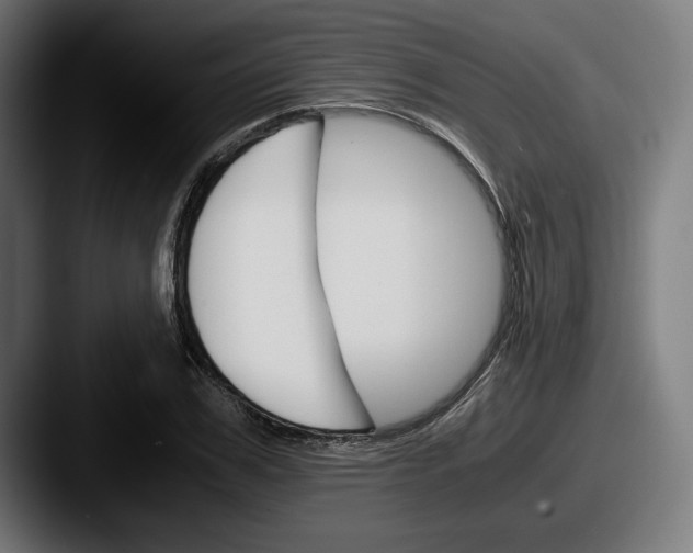 X0000087520979200705181009