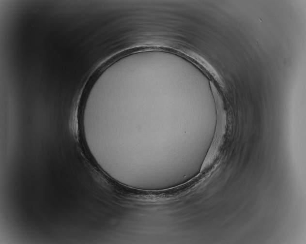 X0000087520980200705181009