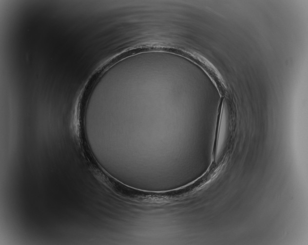 X0000087520981200705181009