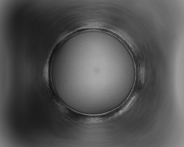 X0000087520982200705181009