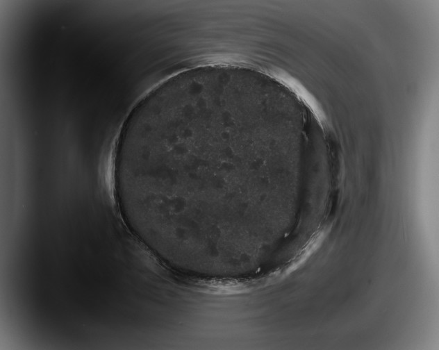 X0000087520983200705181009