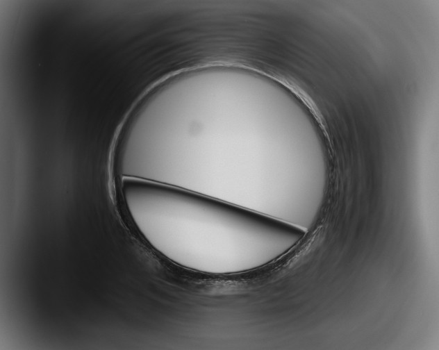 X0000087520984200705181009