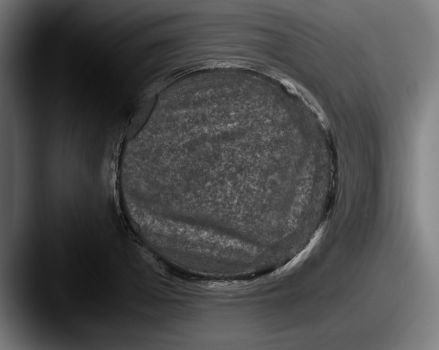 X0000087520985200705181009