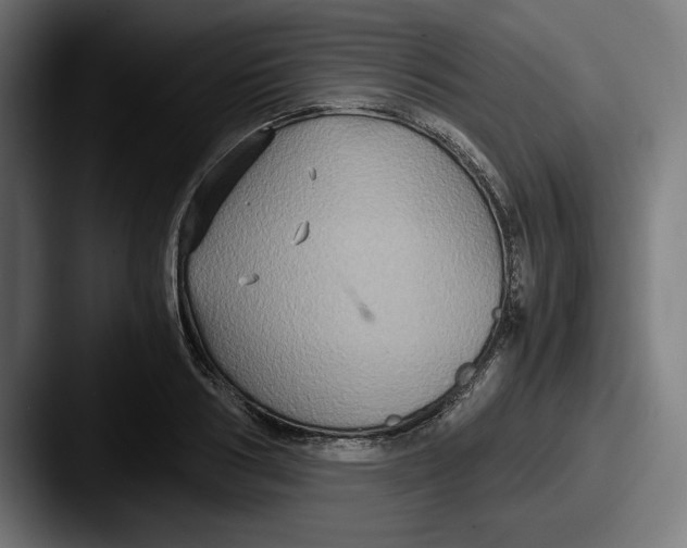 X0000087520986200705181009