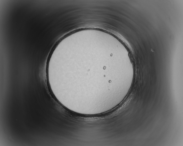 X0000087520988200705181009